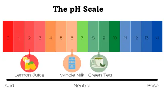 pH Scale and pH of Beverages