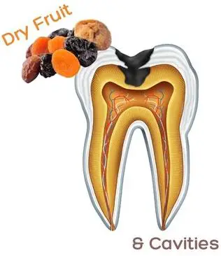 dry fruits image and tooth anatomy image showing how dry fruits could cause cavities