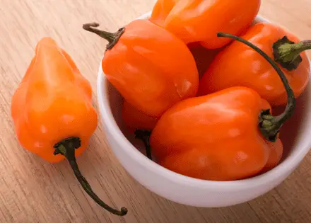 a bowl of orange habanero peppers