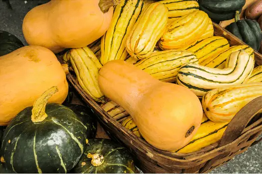a variety of different types of winter squashes