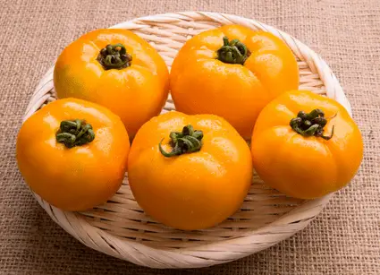 5 orange tomatoes