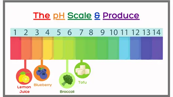 the ph scale and produce.  the scale shows examples of some fruits and vegetables pH as compared to blueberries pH
