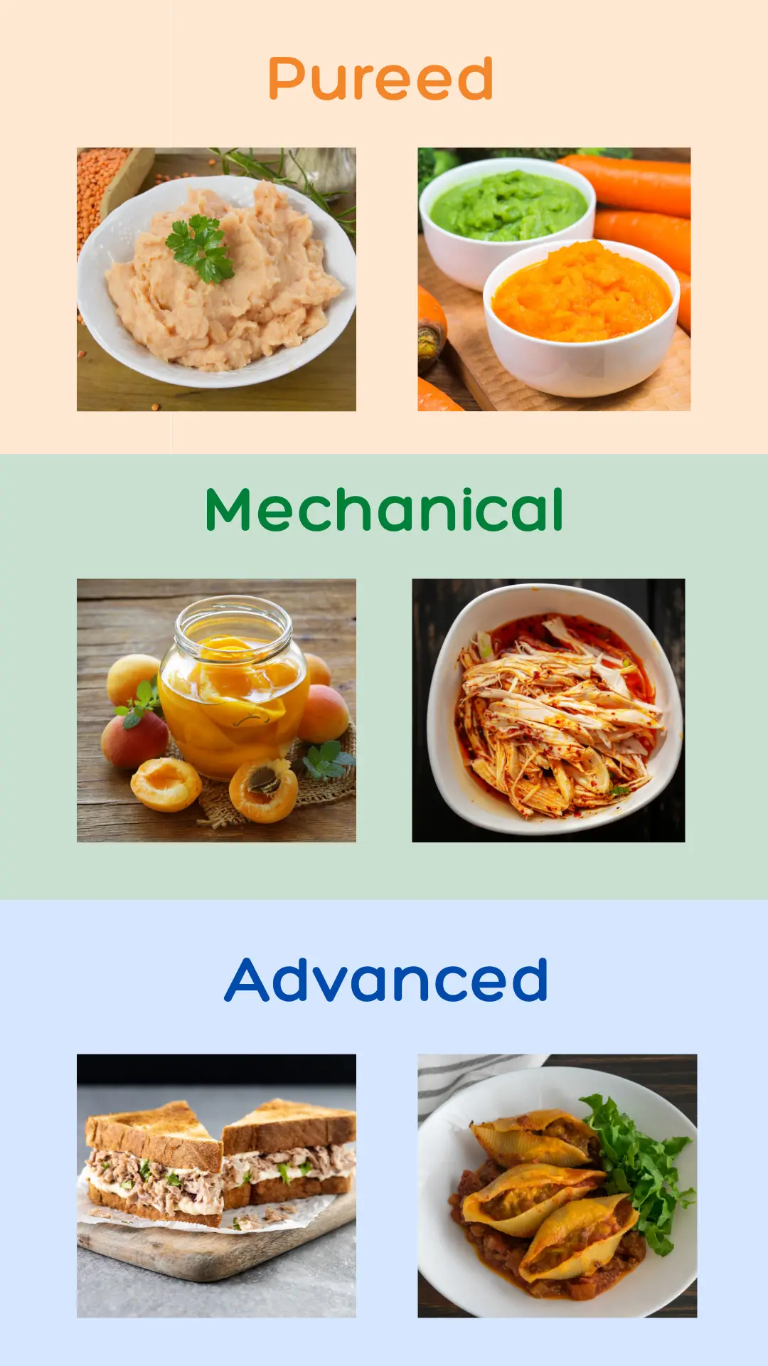 Pureed, mechanical, advanced soft food examples