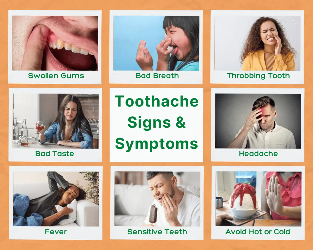 toothache signs and symptoms may include bas taste, bad breath, headache, fever, sensitive teeth, avoid hot or cold, throbbing tooth, swollen gums